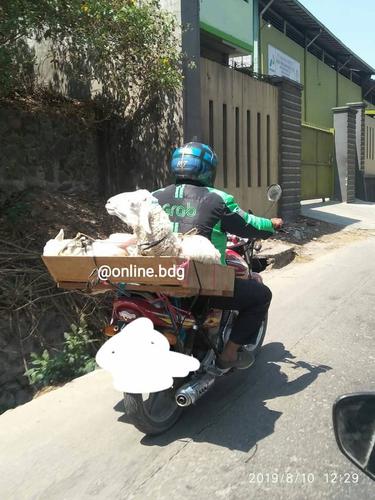 cara kocak driver ojol bawa orderan