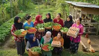 8 Inspirasi Budidaya Ayam Kampung dan Kebun Sayur untuk Kelompok Ibu Desa