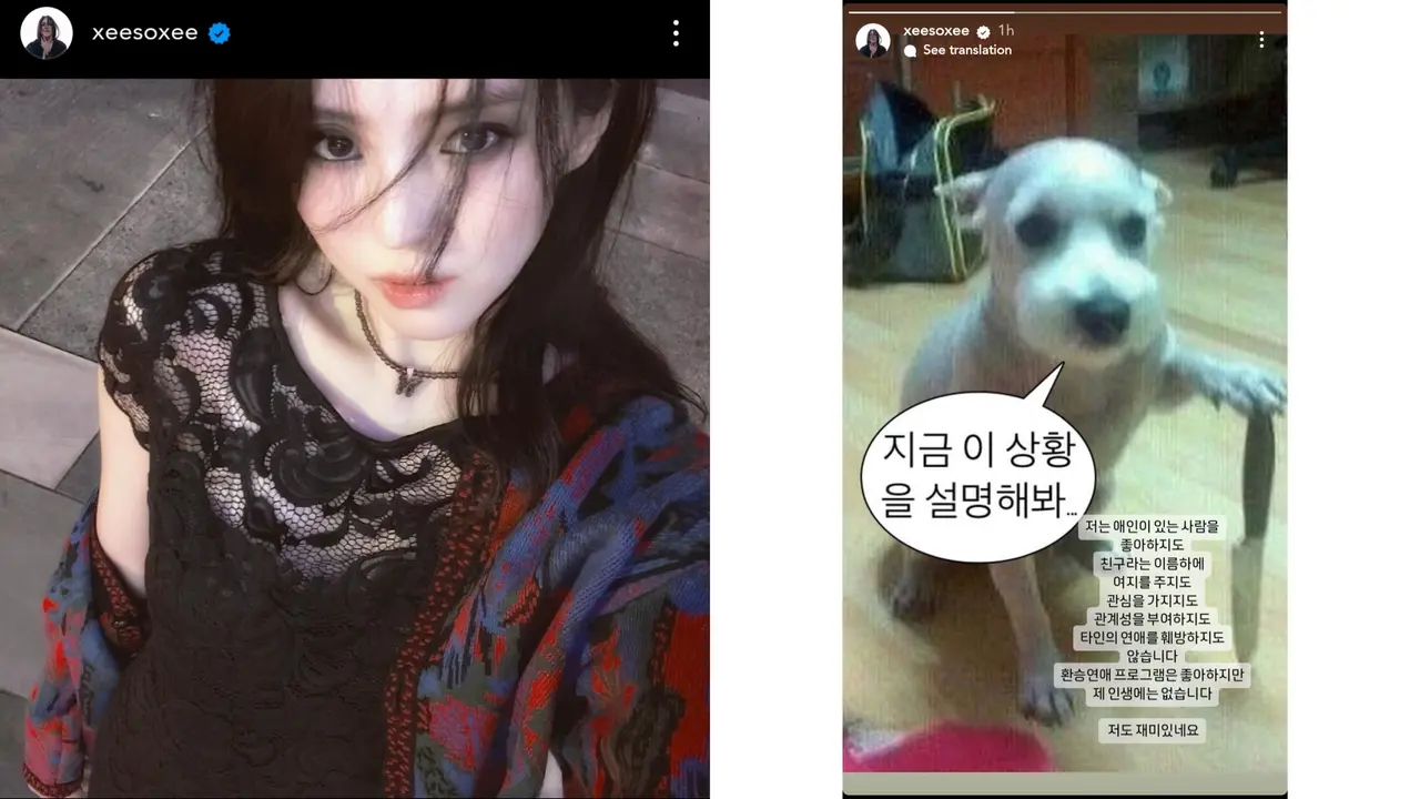 Anjing Bawa Pisau di Instagram Stories Han So Hee Saat Bantah Rumor Berpacaran dengan Ryu Jun Yeol Mantan Hyeri Mendadak Viral (instagram.com/xeesoxee)
