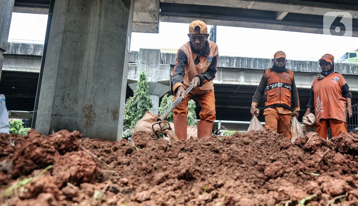 Petugas penanganan prasarana dan sarana umum (PPSU) Kelurahan Cipinang Besar Selatan saat menyelesaikan pembuatan taman di Jalan DI Panjaitan, Jakarta Timur, Rabu (14/12/2022). Dari 85.310 petugas di DKI Jakarta, sebanyak empat persen atau sekitar 3.400 orang di antaranya Penyedia Jasa Lainnya Perorangan (PJLP) berusia di atas 56 tahun. (merdeka.com/Iqbal S. Nugroho)