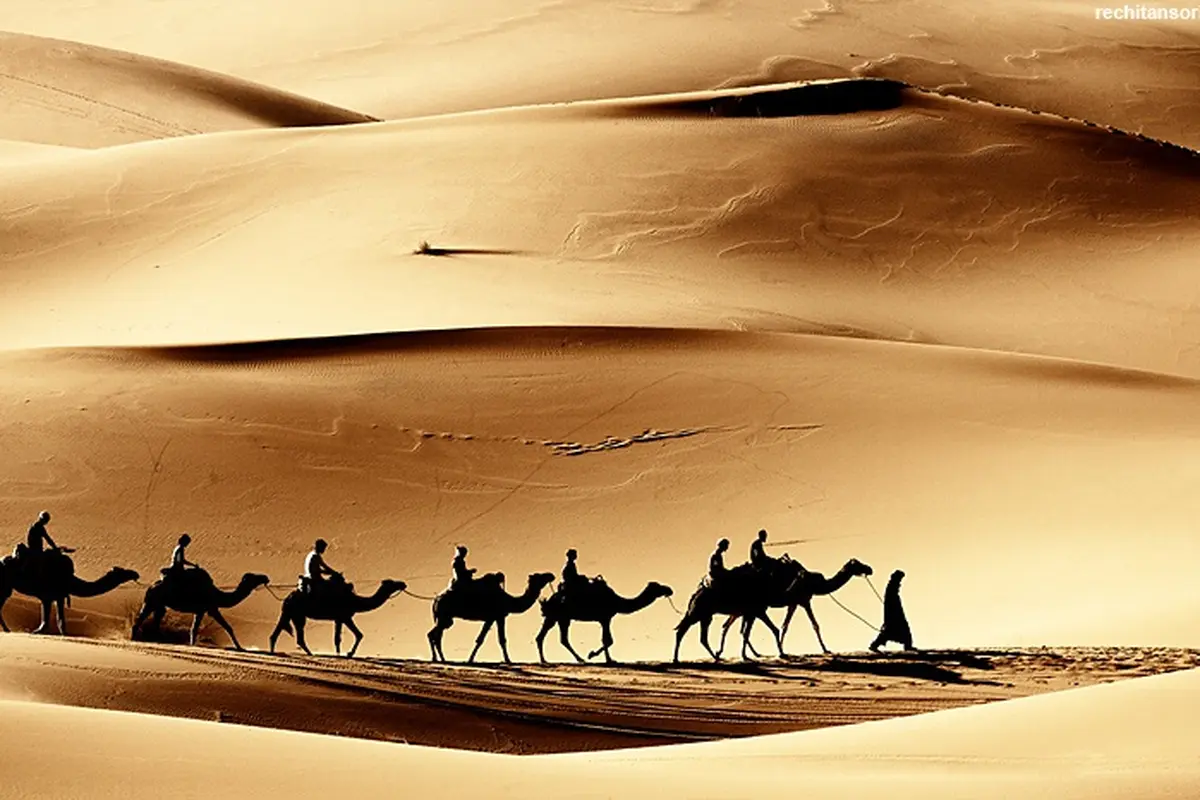 Keajaiban Gurun Sahara Dalam Gambar GIF
