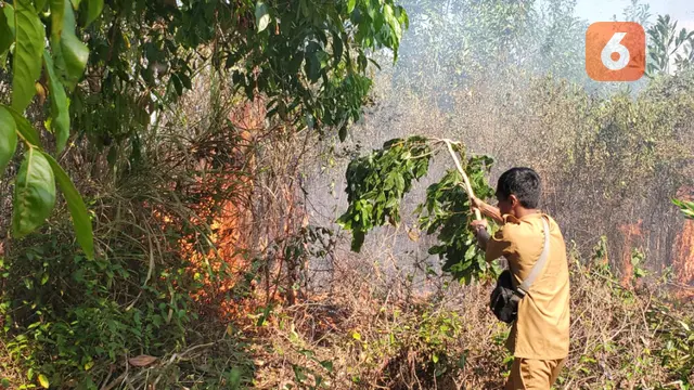 Karhutla Kalimantan Selatan Kalsel Banjarbaru