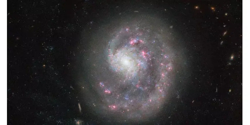	Hasil foto Galaksi NGC 4625 yang tertangkap Teleskop Hubble (Sumber: NASA)