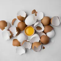 Ilustrasi telur segar/copyright freepik.com/freepik