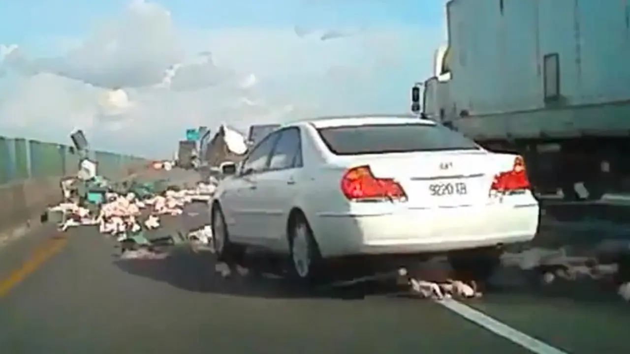 Tabrakan, Truk ini Banjiri Tol Dengan Daging Ayam Potong