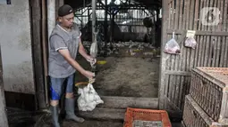 Pekerja menimbang ayam yang akan dijual ke pembeli di agen ayam potong kawasan Cipinang Melayu, Jakarta Timur, Senin (19/12/2022). Jelang Hari Raya Natal dan Tahun Baru, harga ayam potong mengalami kenaikan secara bertahap sejak dua pekan lalu. (merdeka.com/Iqbal S. Nugroho)