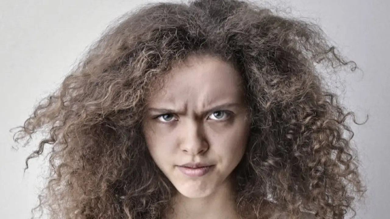 frizz 1