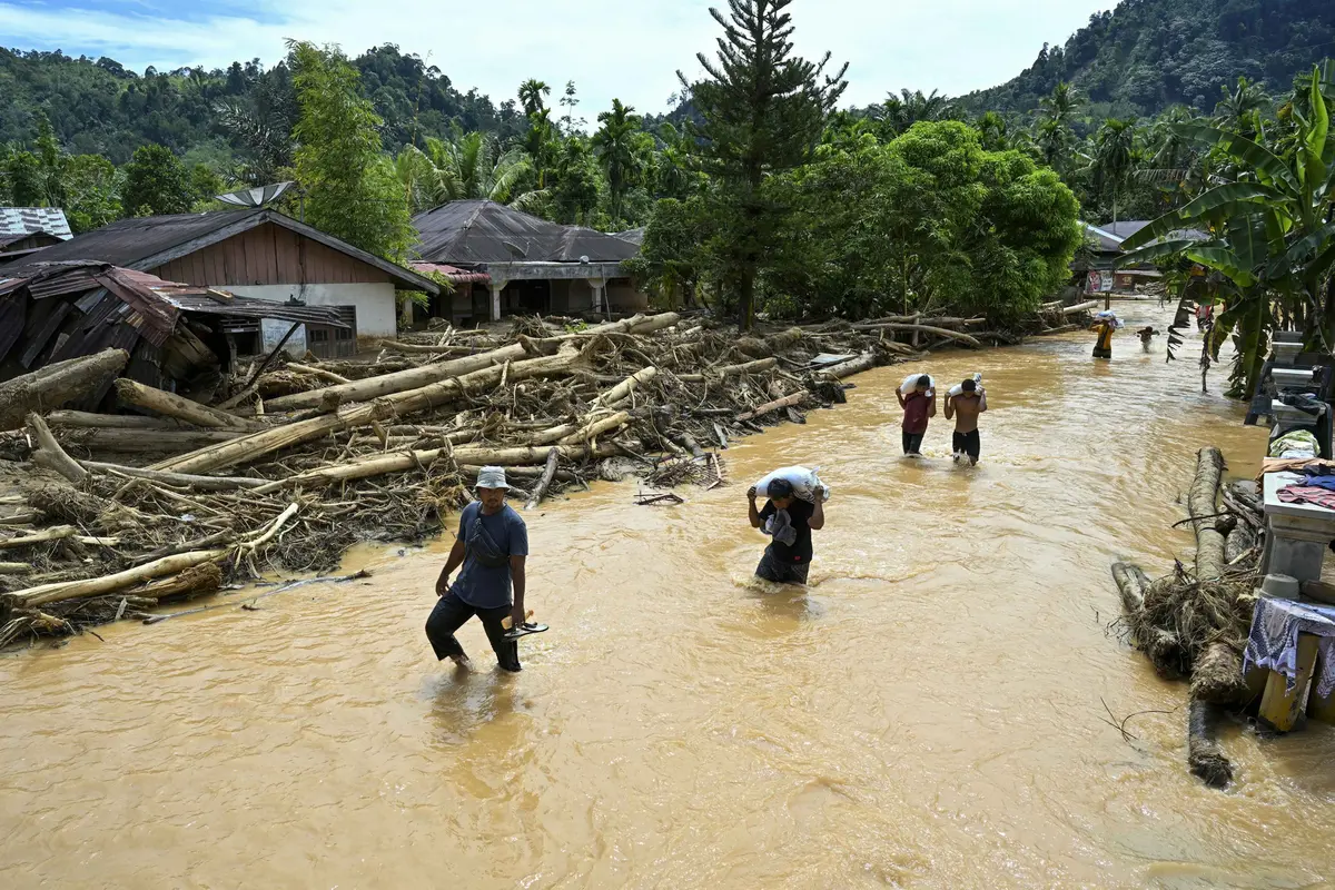 Banjir Sumatera: Penampakan Tumpukan Kayu Gelondongan di Desa Tukka Tapanuli Tengah