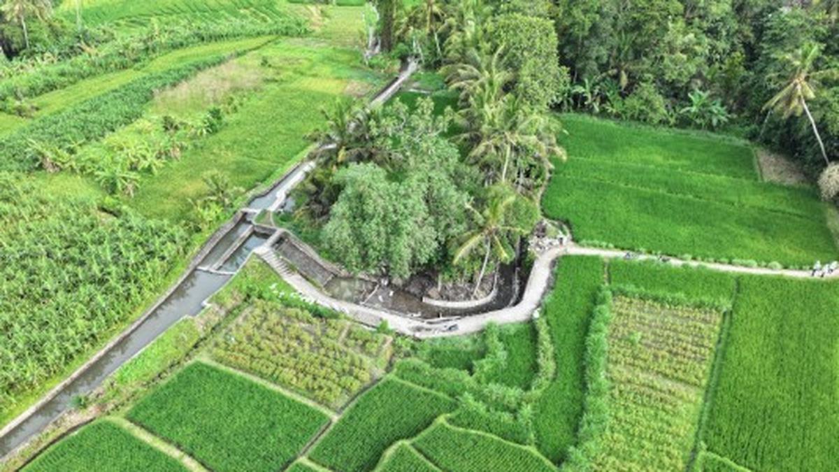 Sinergitas Stakeholders untuk Mendukung Swasembada Pangan