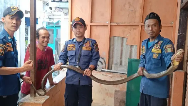 Edukasi Keluarga Mengenai Risiko dan Penanganan
