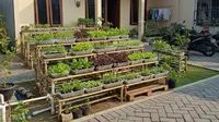 8 Jenis Kebun Sayur Tanpa Kotor &amp; Berantakan, Cocok untuk Lahan Terbatas