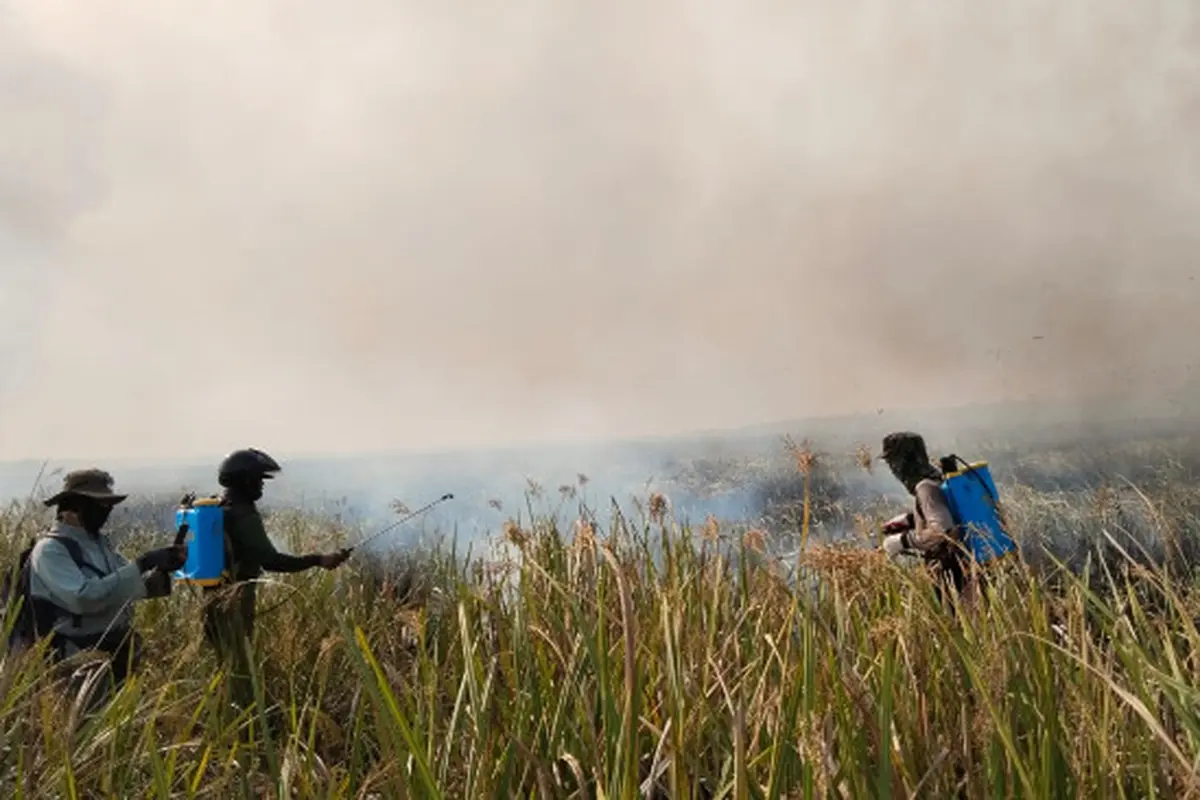 Proses Pemadaman Api di Lahan TNWK
