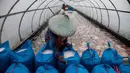 Sistem tunel tersebut mampu menghasilkan garam dengan kualitas Kw1 Premium. (Aditya Irawan/AFP)