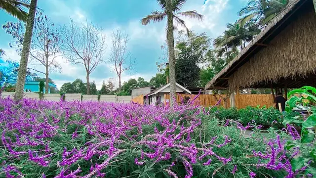 LaFresa Flower & Garden