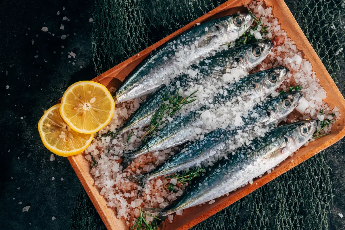ikan