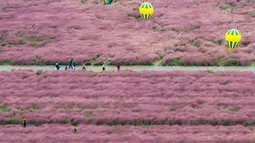 Taman ini berubah warna menjadi merah muda yang cantik saat musim gugur tiba. (STR/AFP)