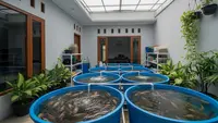 7 Ikan Air Tawar yang Bisa Menjadi Sumber Passive Income Keluarga