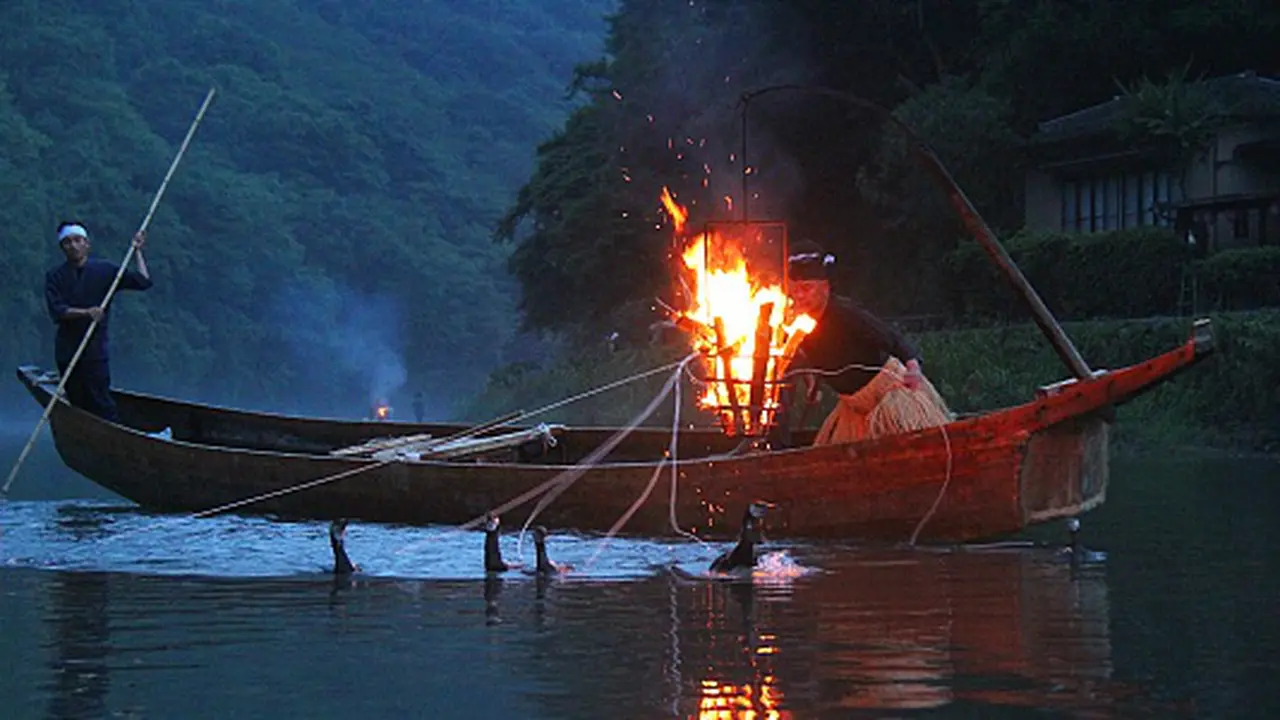 Ukai, Saat Unggas Jadi Sahabat Nelayan Tradisional di Jepang