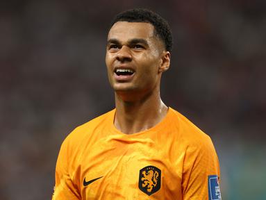 Penampilan gemilang Cody Gakpo bersama Timnas Belanda di Piala Dunia 2022 membuat Liverpool tertarik untuk memboyongnya. The Reds dikabarkan rela merogoh kocek sebesar 37 juta euro untuk mendatangkannya dari PSV Eindhoven. Perannya sebagai penyerang tentu sangat dibutuhkan oleh Jurgen Klopp. Hal itu karena belakangan ini, lini depan Liverpool terasa kurang produktif untuk mencetak gol. (AFP/Adrian Dennis)