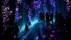 Pengunjung menyaksikan instalasi digital yang menampilkan proyeksi air terjun dan bunga di Museum Seni Digital Mori Building, Tokyo, 21 Juni 2018. Museum seluas 10.000 meter persegi ini banyak menampilkan seni digital mengagumkan. (AP/Shuji Kajiyama)