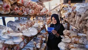 Bisnis UMKM BRI Tetap Ekspansif di Kuartal II 2026, Optimisme Pelaku Usaha Masih Terjaga