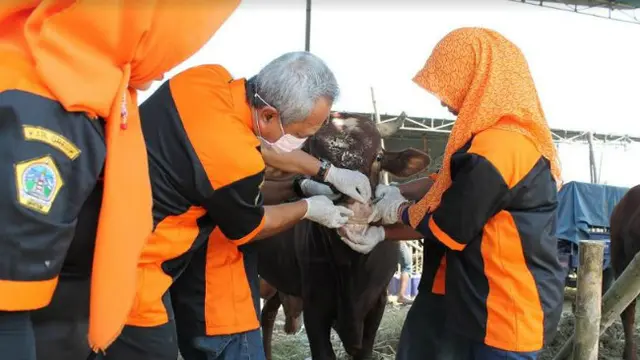 (Foto: Liputan6.com/Dian Kurniawan)