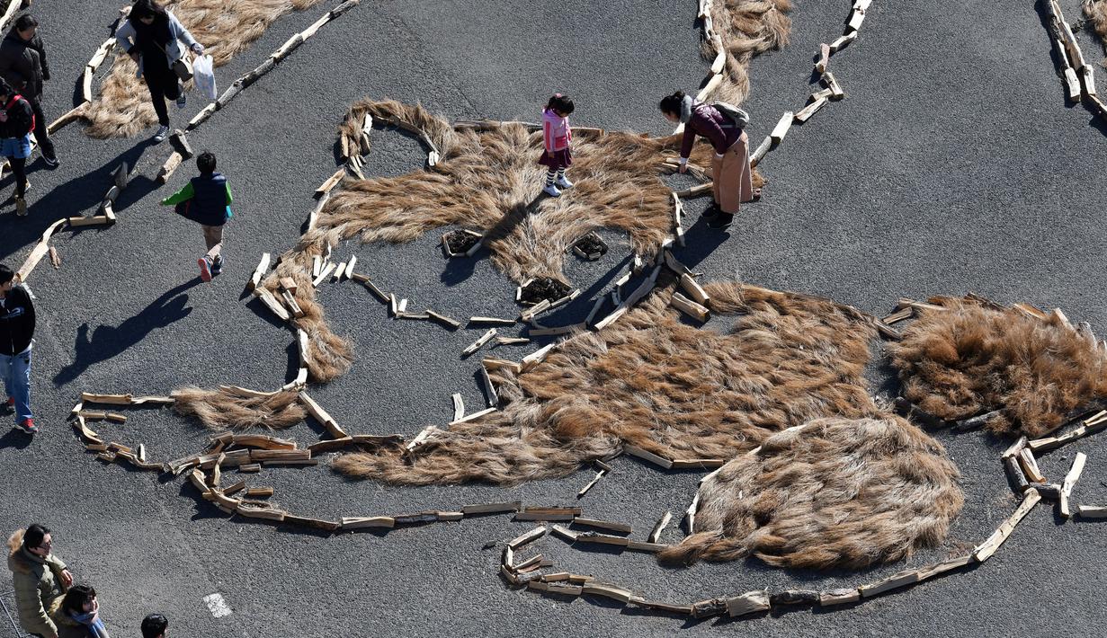 Pengunjung melihat gambar seekor anjing Shiba Inu dan dua anaknya di Taman Seaside Hitachi, Utara Tokyo, (29/12). Gambar tersebut dibuat dari 1.100 tanaman bassia scoparia, 6.500 kerucut pinus dan potongan kayu. (AFP PHOTO / Toshifumi Kitamura)