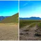 Potret Savana Bromo Kembali Menghijau. (Sumber: TikTok/@moment.story7)