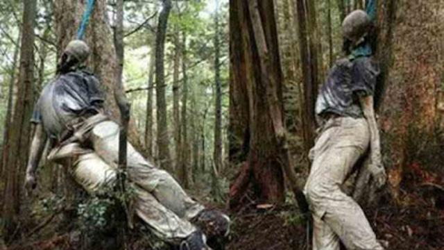 Menelusuri Keangkeran Hutan Aokigahara di Jepang, Seperti Apa?