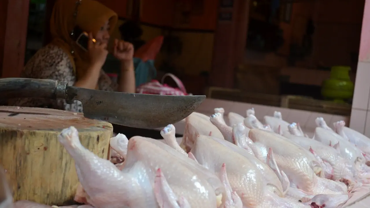 Kenaikan Harga Daging Bikin Bulog Was-was