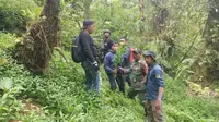 Ladang Ganja Terungkap di Bromo Tengger Semeru, Kemenhut Sebut Kasus Lama
