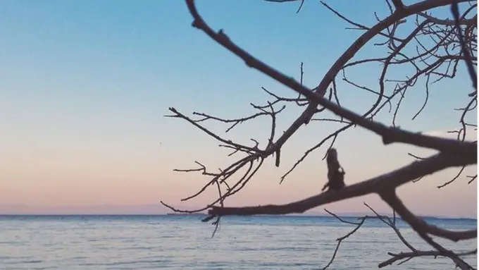 Jelajah Pulau-pulau Ekostis di 'Surga' Morotai, Maluku Utara