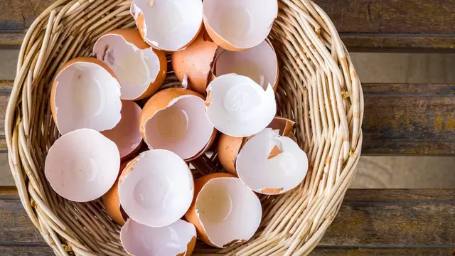 Jangan Buang Cangkang Telur, Ini Manfaatnya! (Sirikunkritlaphuk/Shutterstock)