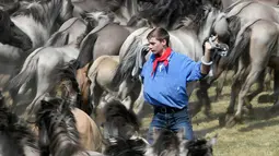 Seorang pria bersiap menangkap kuda liar di Duelmen, Jerman (26/5). Menangkap kuda liar tanpa menggunakan alat bantu sudah menjadi tradisi tahunan warga pedesaan di Jerman. (AP Photo/Martin Meissner)