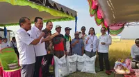 Komisi IV DPR RI melakukan panen padi bersama petani Gapoktan Utama Mandiri, Kampung Waningapmiraf (SP 5), Distrik Tanah Miring, Kabupaten Merauke, Papua Selatan, Rabu (4/10/2023).