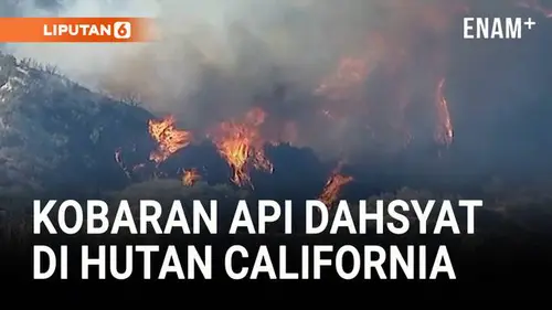 Kebakaran Hutan di California Paksa Ribuan Warga Mengungsi