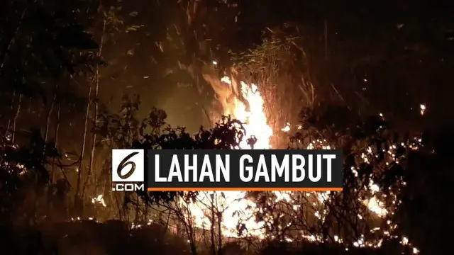 Lima hektare lahan gambut di Jalan Hiu Putih, Kota Palangka Raya, Kalimantan Tengah terbakar.