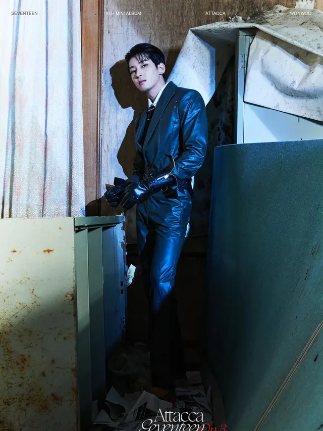 Wonwoo Seventeen. (Pledis Entertainment via Soompi)