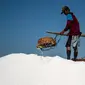 Petani memanen garam di Sidoarjo, Jawa Timur, 16 September 2019. Menurut petani, meningkatnya produksi garam saat musim kemarau dari lima ton menjadi delapan ton per minggu, mengakibatkan harga garam di tingkat petani tradisional untuk kualitas nomor satu menurun. (Juni Kriswanto/AFP)
