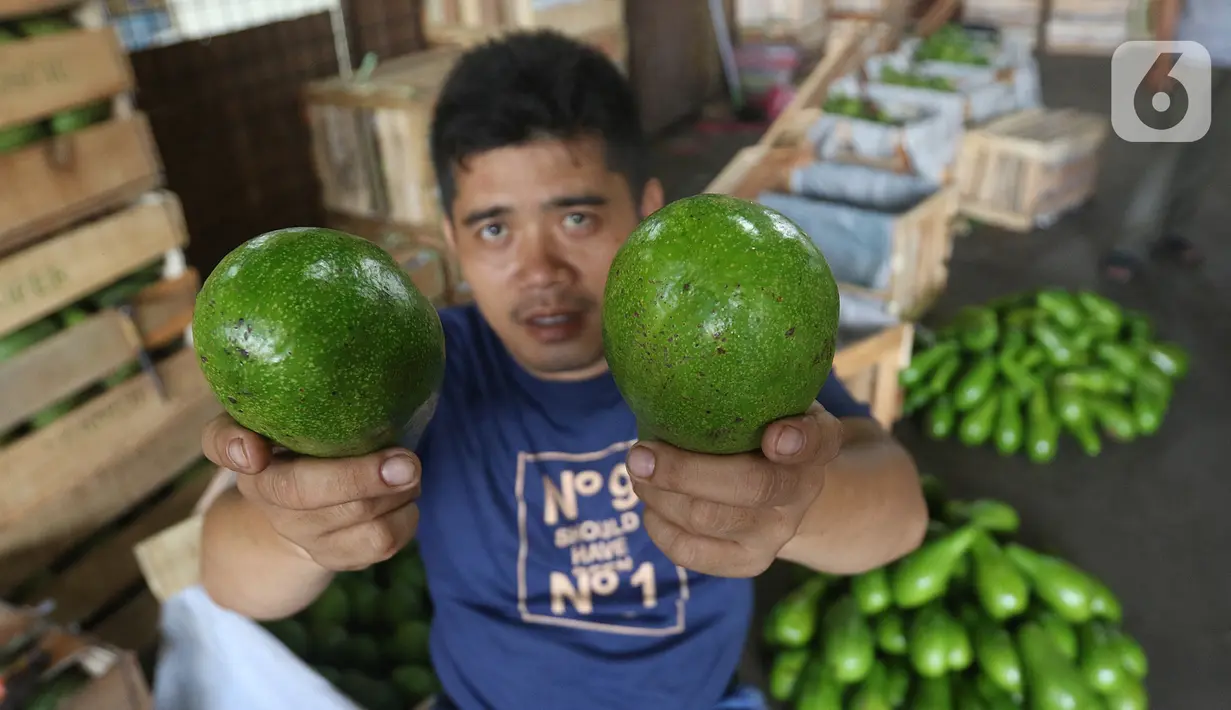 Pedagang menunjukkan buah alpukat di pasar induk Kramat Jati, blok buah di Jakarta, Minggu (2/2/2020). Pemerintah berupaya melakukan peningkatan produksi buah-buahan dalam negeri dan diharapkan tidak hanya dilakukan untuk mendongkrak ekspor. (Liputan6.com/Herman Zakharia)