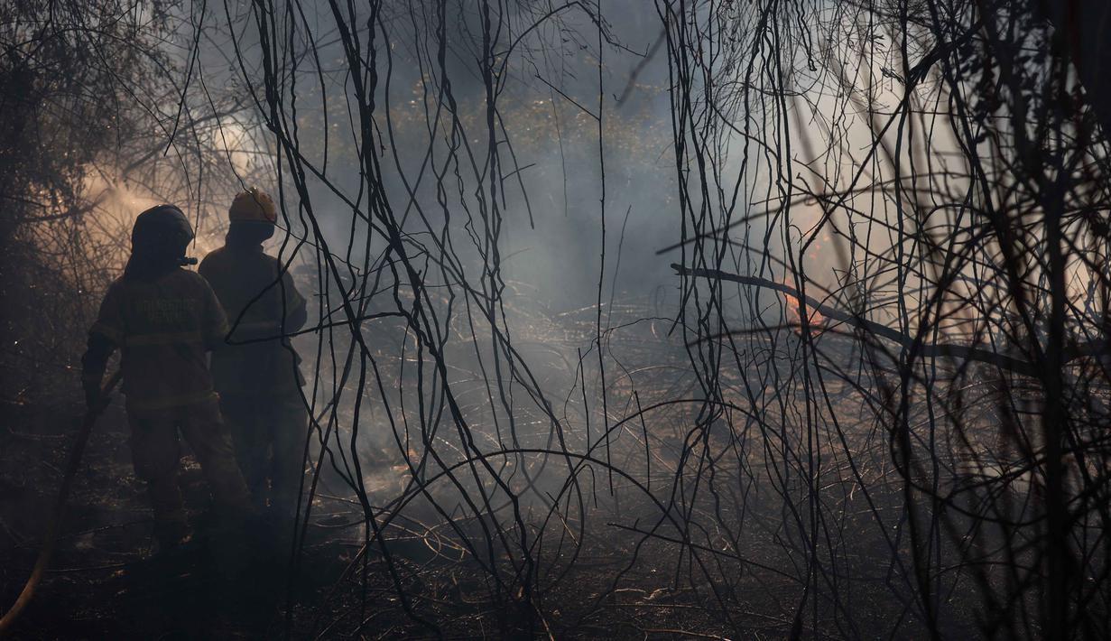 Badan kehutanan Chile, CONAF, mengatakan tim dari pemadam kebakaran masih berjuang memadamkan 24 titik api aktif di berbagai wilayah hingga Minggu (18/1/2026) pagi waktu setempat. Tampak dalam foto, petugas pemadam kebakaran Chili bekerja saat kebakaran hutan di Concepcion, Chile pada 18 Januari 2026. (Raul BRAVO/AFP)