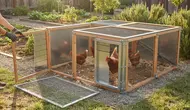 7 Ide Kandang Ayam Modular Mudah Diperluas Saat Jumlah Ayam Bertambah