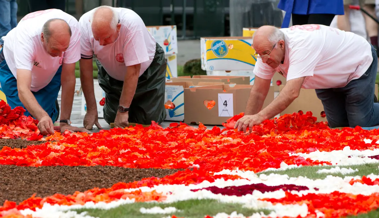 Sejumlah sukarelawan menata Karpet Bunga Brussels di Grand Place, Brussels, Belgia, Kamis (16/8). Lebih dari 500 ribu bunga digunakan untuk menciptakan karya tersebut. (AP Photo/Virginia Mayo)