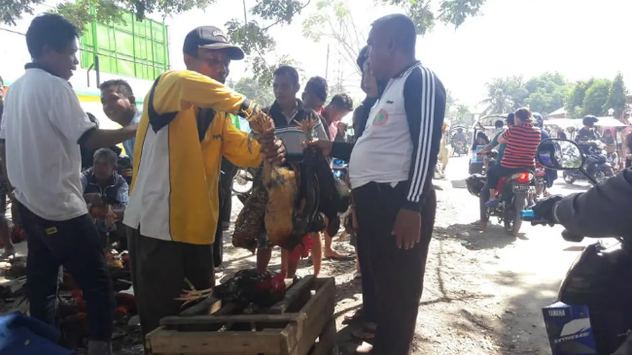 Mongoloto Malu'o, Tradisi Menyajikan Menu Ayam Untuk Sahur Perdana di Gorontalo