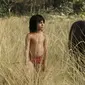 The Jungle Book