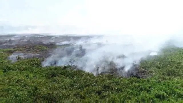 Foto api yang membakar lahan gambut di Kolaka Timur, diambil dari udara, Selasa (3/9/2019).(Liputan6.com/Ahmad Akbar Fua)