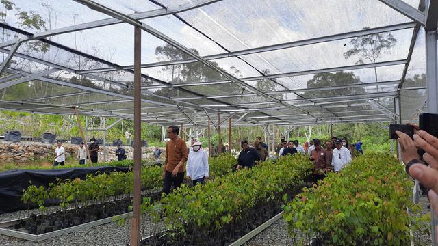 Persemaian Mentawir IKN