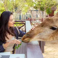 (Instagram/ralineshah)