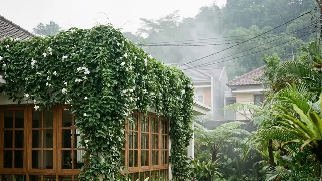 Model Rumah Kecil dengan Halaman Luas untuk Berkebun