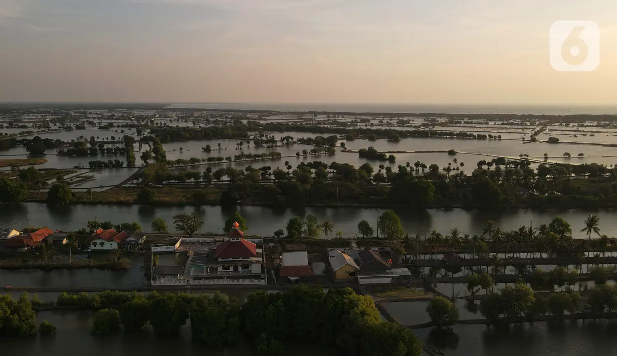 Foto udara suasana Kampung Beting, Desa Pantai Bahagia, Kecamatan Muara Gembong, Bekasi, Jawa Barat, Sabtu (28/8/2021). Menurut penelitian jurnal Environmental Research Letters, kepulauan ini telah mengalami kenaikan air laut selama lebih dari dua dekade. (merdeka.com/Imam Buhori)